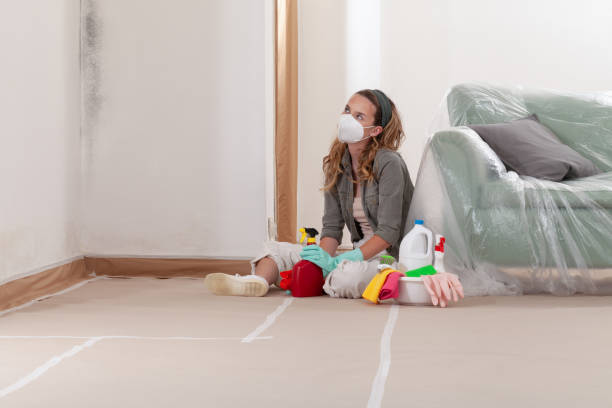 Reliable Black Mold Removal contractor in Helmetta, NJ by WQB Mold Removal